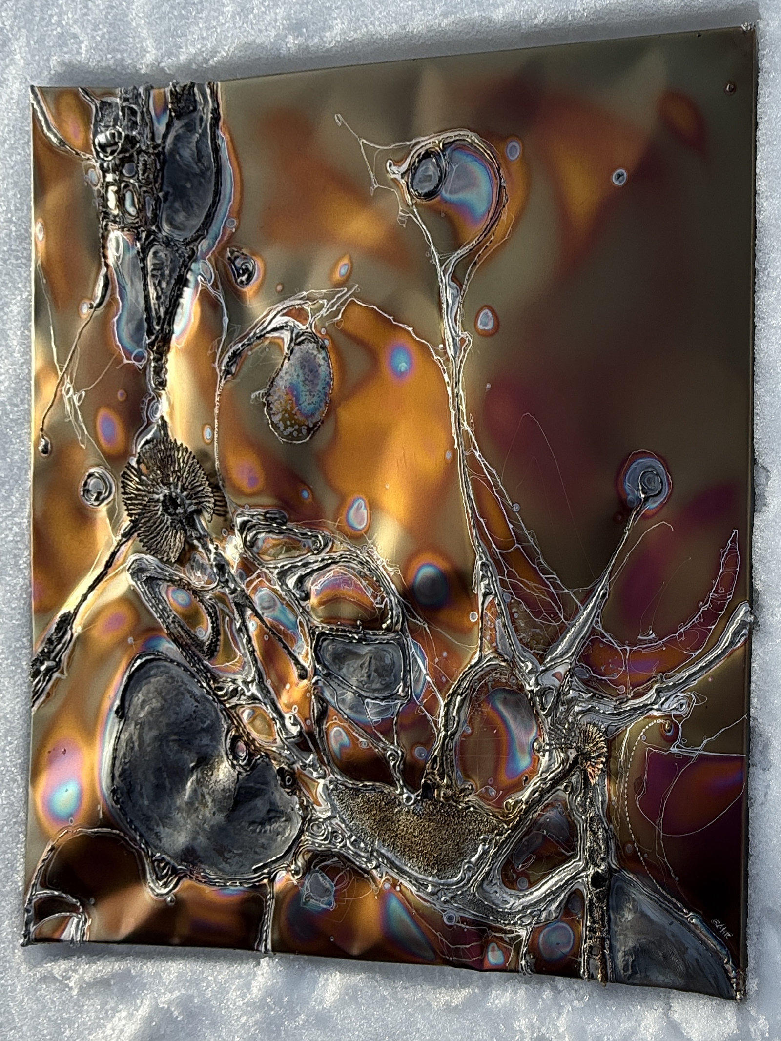 Interaction of Stainless Steel